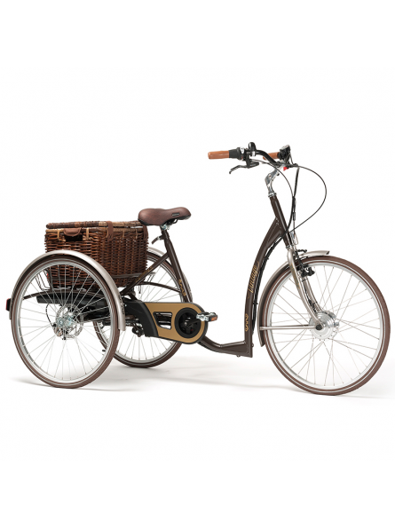 Elektryczny rower rehabilitacyjny trójkołowy w stylu Retro Vintage-E Vermeiren